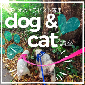 🐶Dog＆Cat講座🐈＠オンライン／講師:藤松弓子 @ オンライン（zoom）